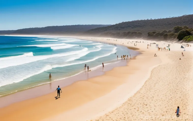호주인의 여가 활동과 캠핑 문화 - **A Vibrant Australian Beach with Surfers and Swimmers.**
    "A wide, sun-drenched panorama of a qu...